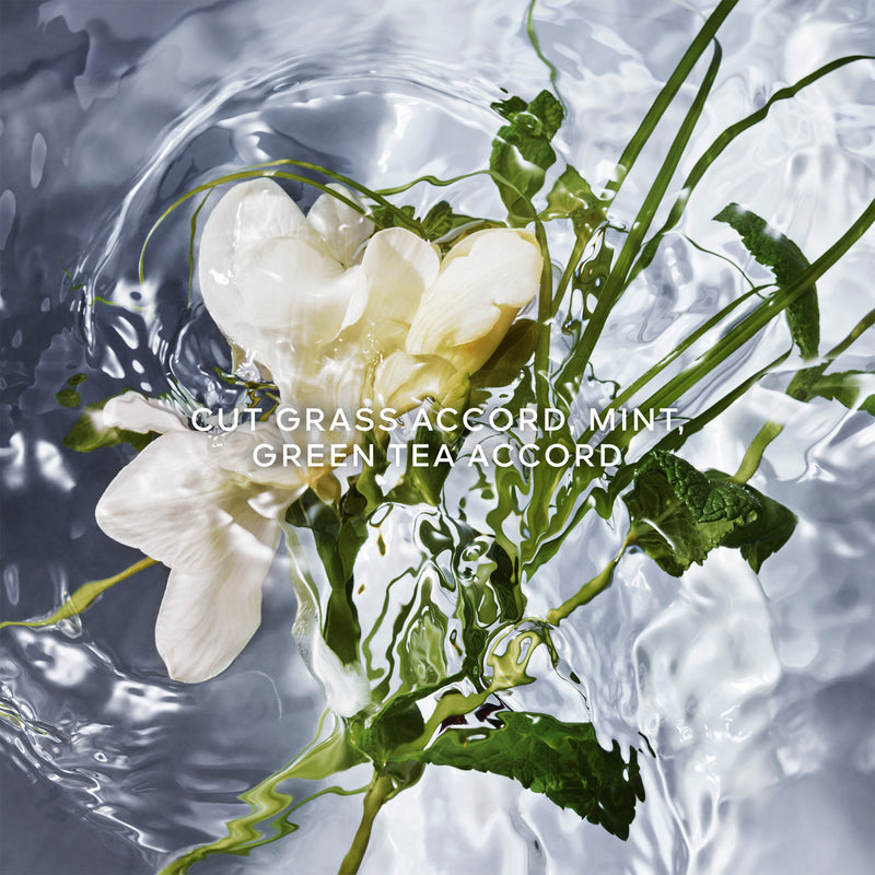 Guerlain Aqua Allegoria Collection Herba Fresca Eau de Toilette