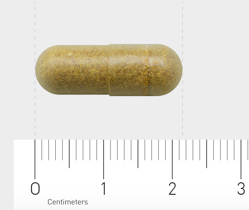 Orthica Multi Probiotica Capsules