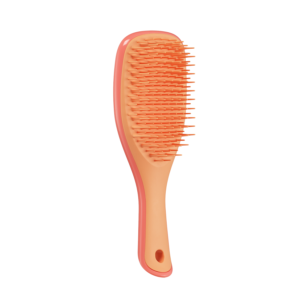 Tangle Teezer The Ultimate Detangler Mini Borstel