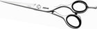 Jaguar Scissors Silver Line CJ4 Plus 6.5 Knipschaar 9265