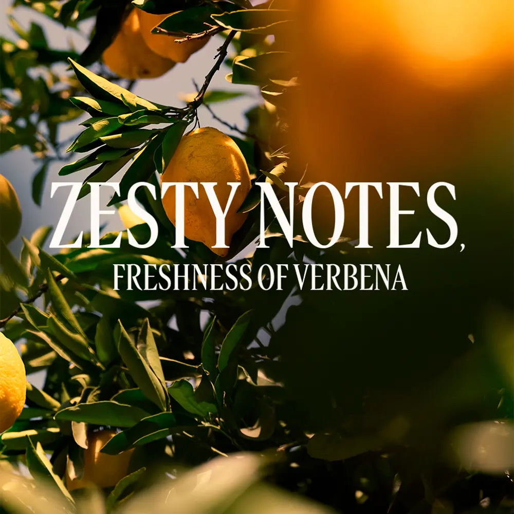 L'Occitane Verveine Hand Cream