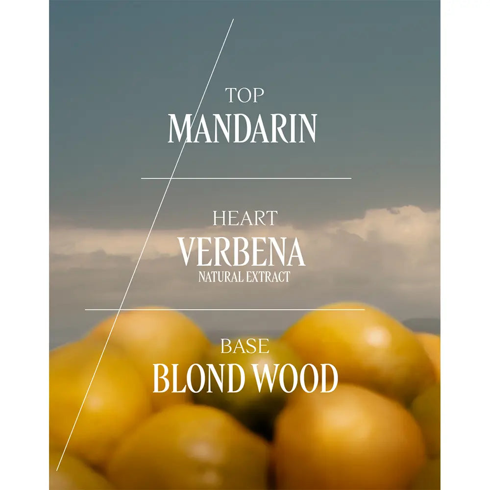 L'Occitane Verveine Hand Cream