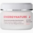 Annemarie Börlind Energy Nature Regenerative Night Cream