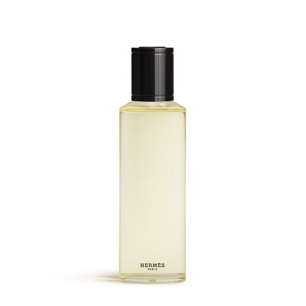 Hermès Terre d'Hermès Eau Givrée Eau de Parfum Refill