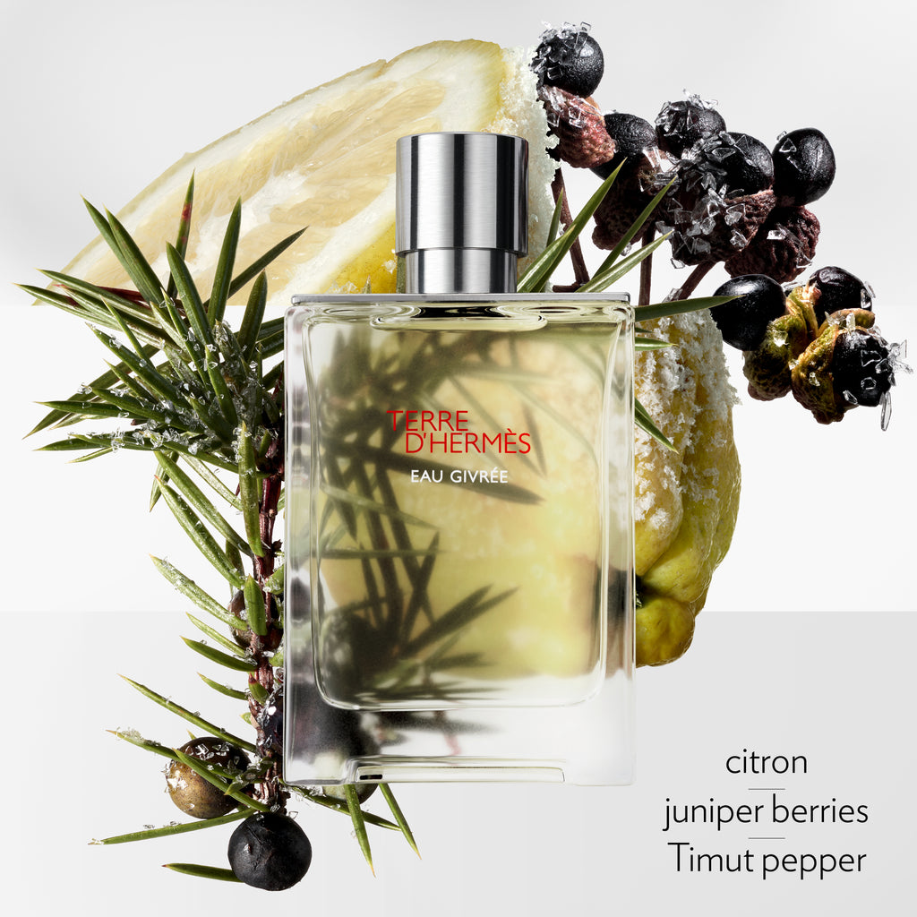 Hermès Terre d'Hermès Eau Givrée Eau de Parfum Refill