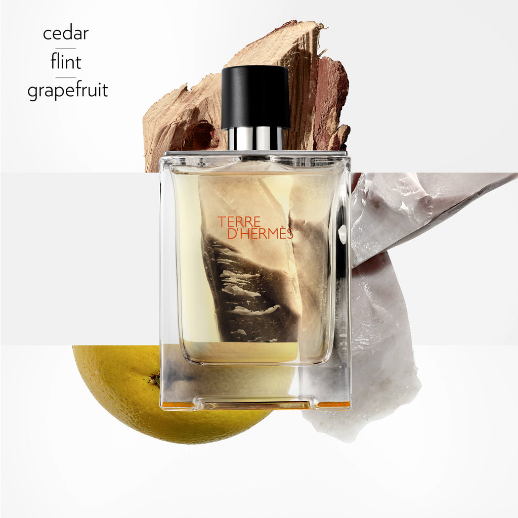 Hermès Terre d'Hermès Eau de Toilette